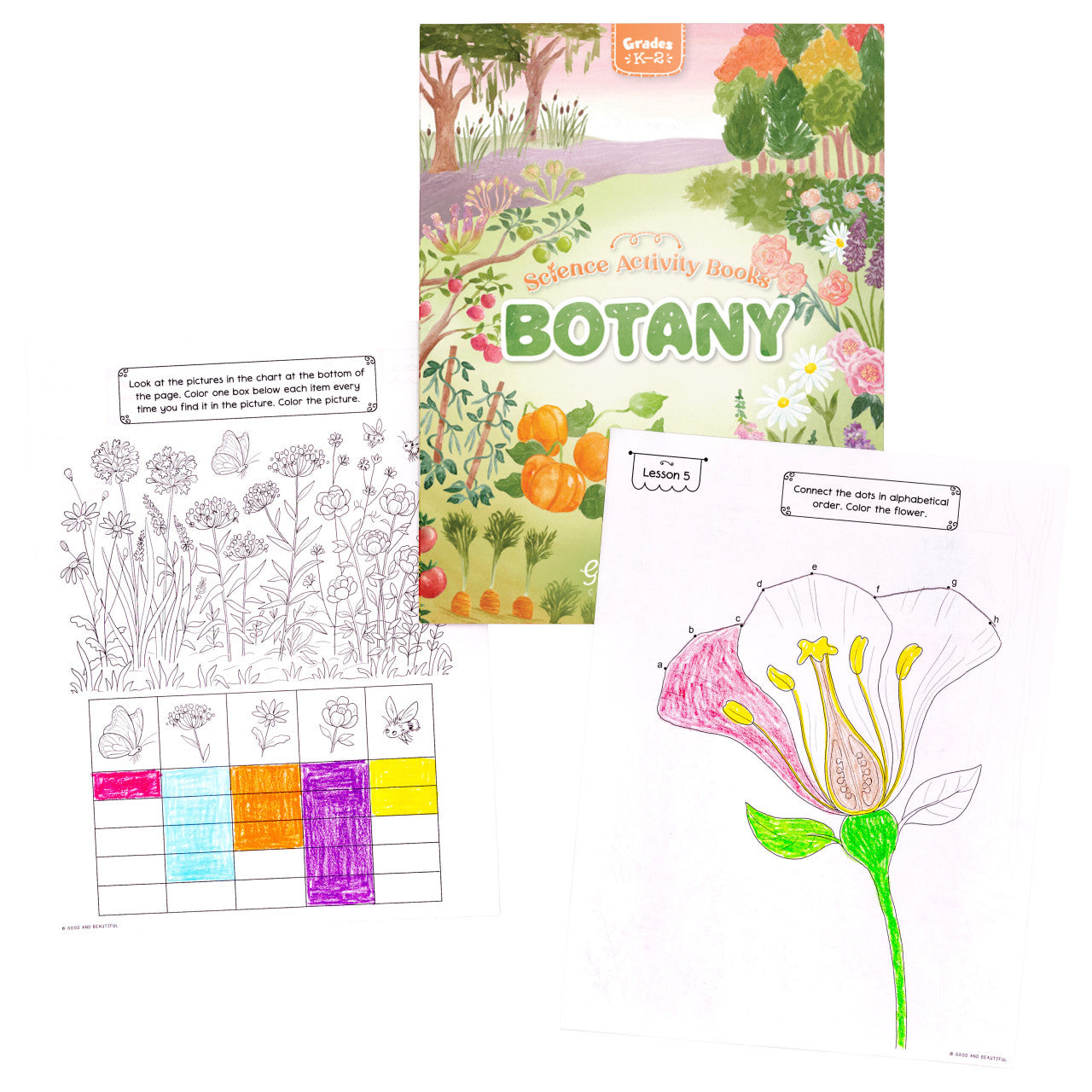 Botany: Science Activity Book