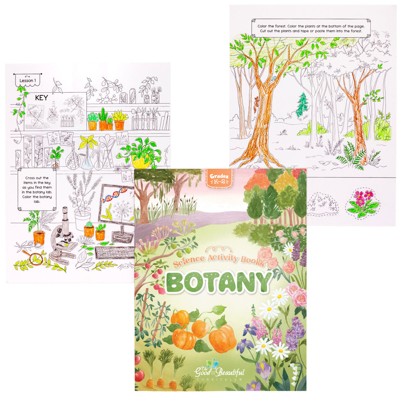 Botany: Science Activity Book