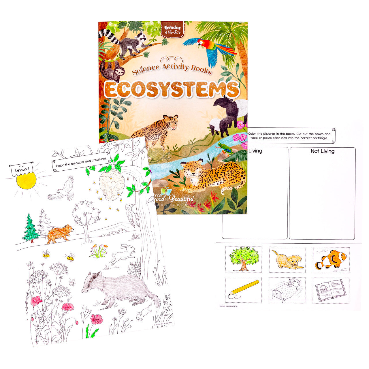 Ecosystems: Science Activity Book