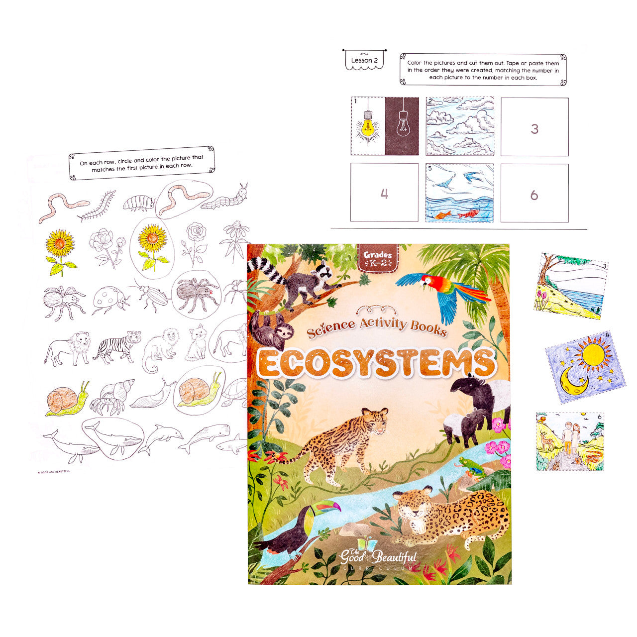 Science Activity Books