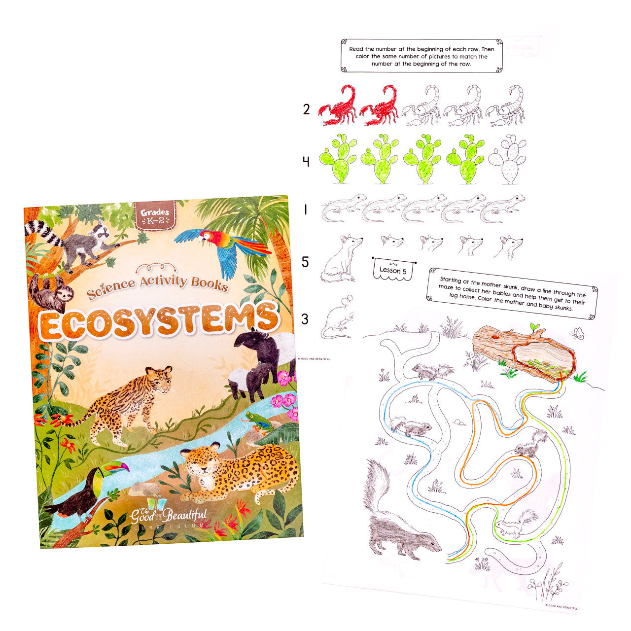 Ecosystems: Science Activity Book