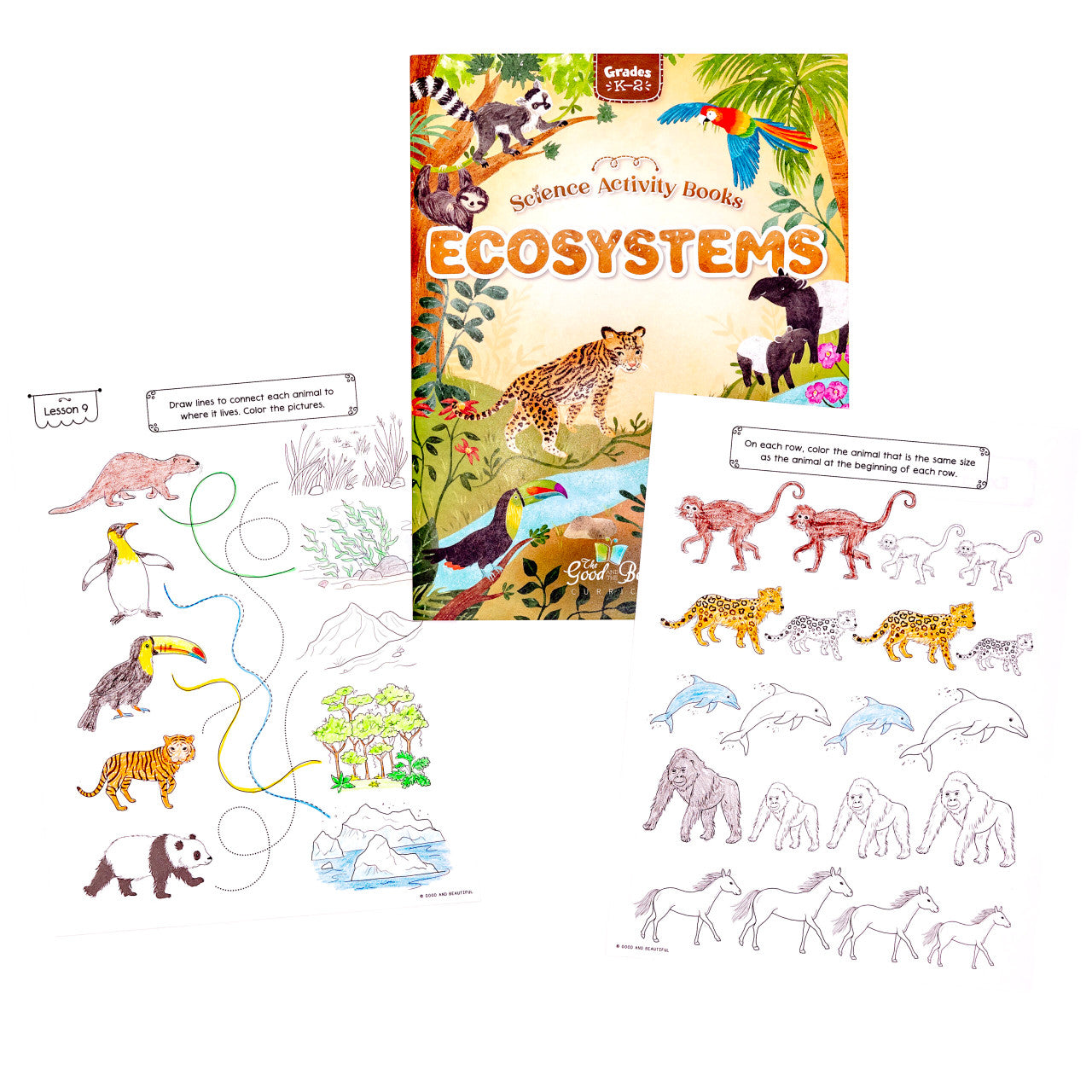 Ecosystems: Science Activity Book