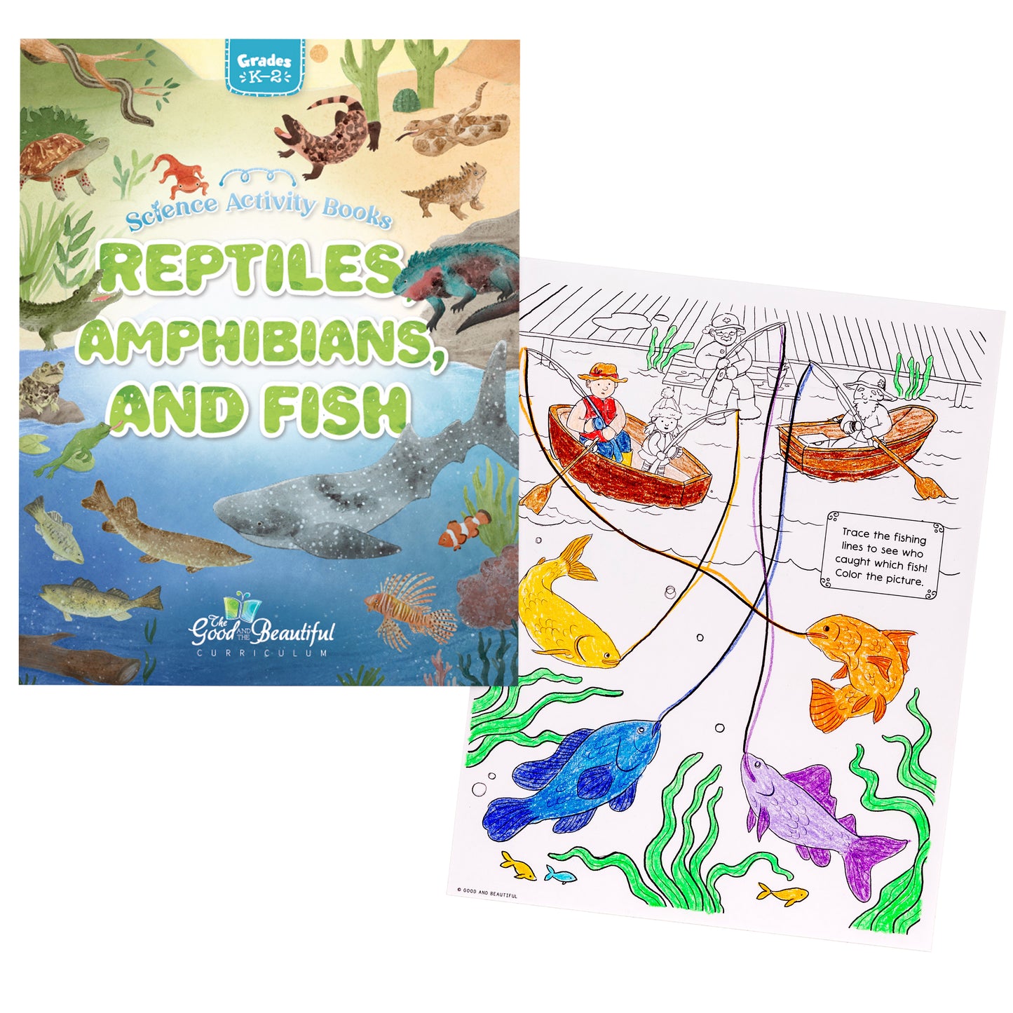 Reptiles, Amphibians, and Fish: Science Activity Book