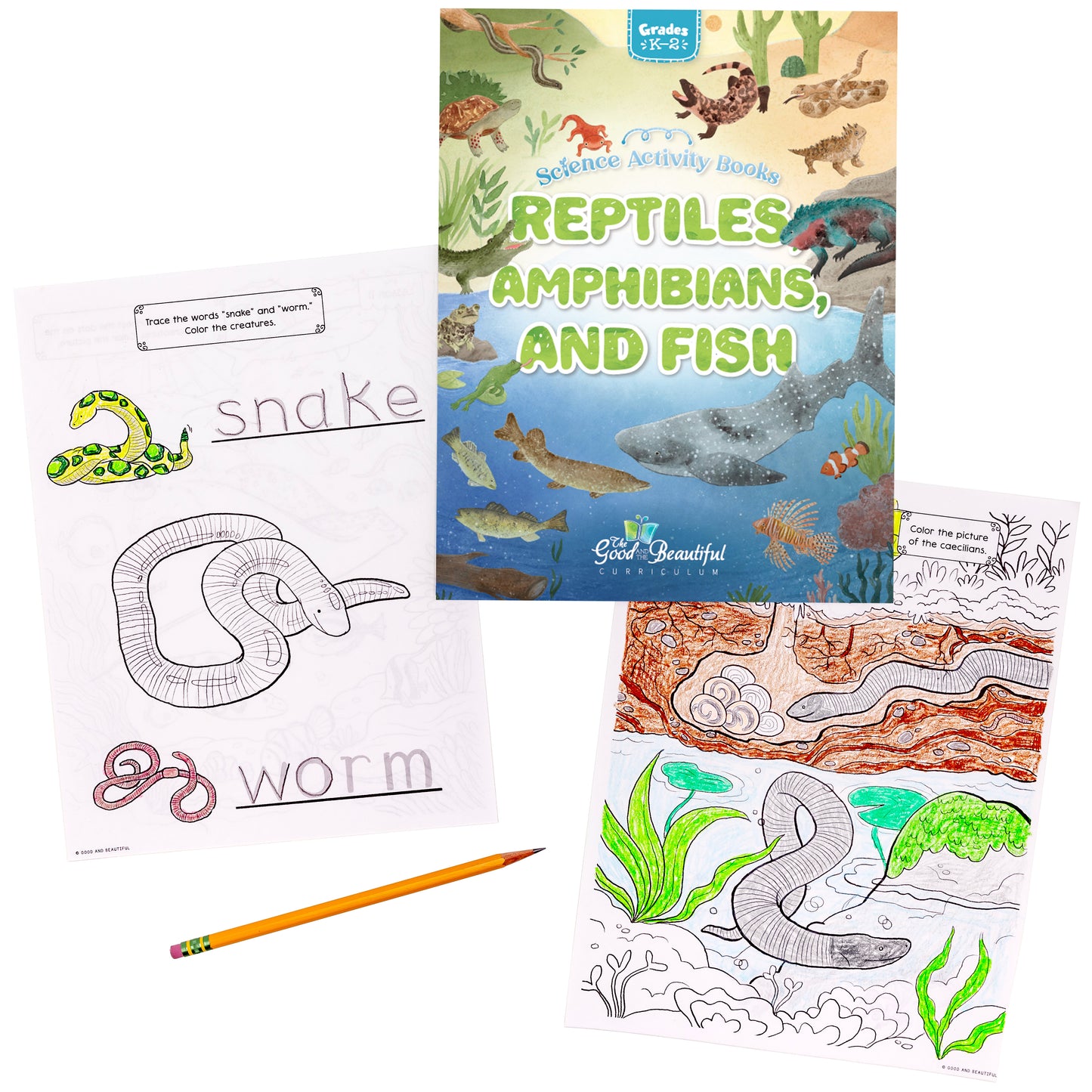 Reptiles, Amphibians, and Fish: Science Activity Book