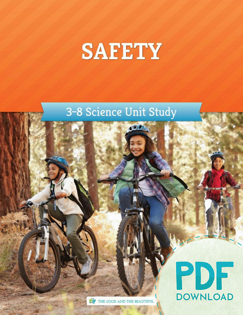 Safety: Course Book (PDF)