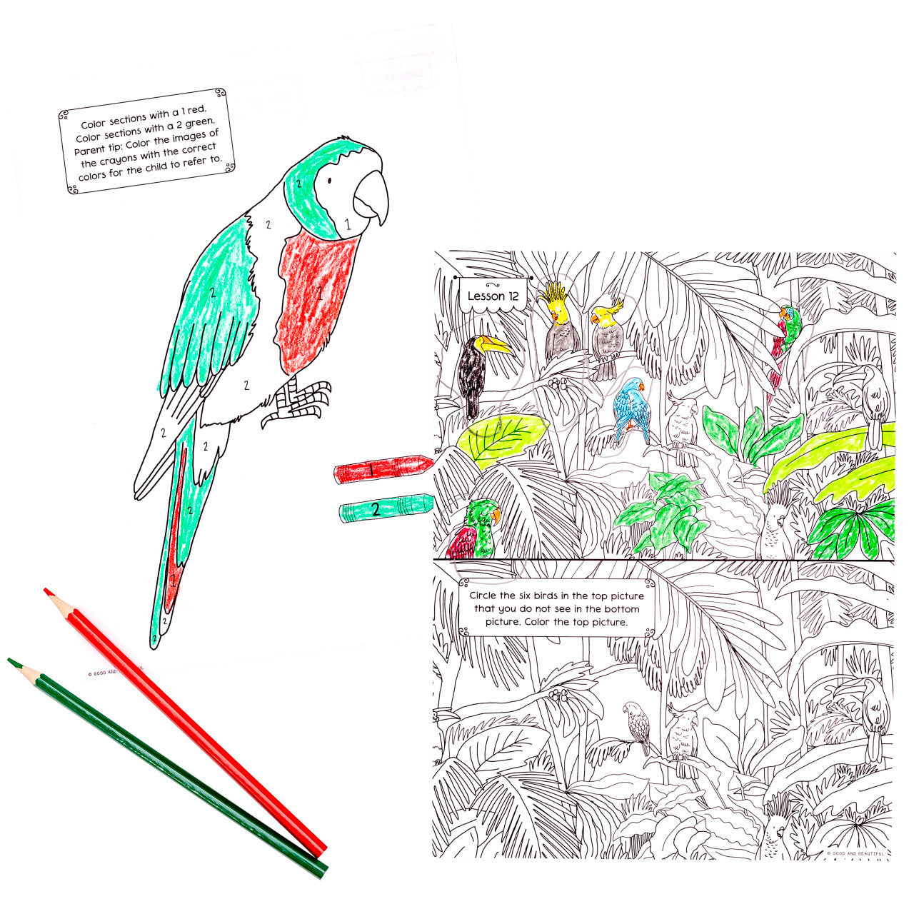 Birds: Science Activity Book