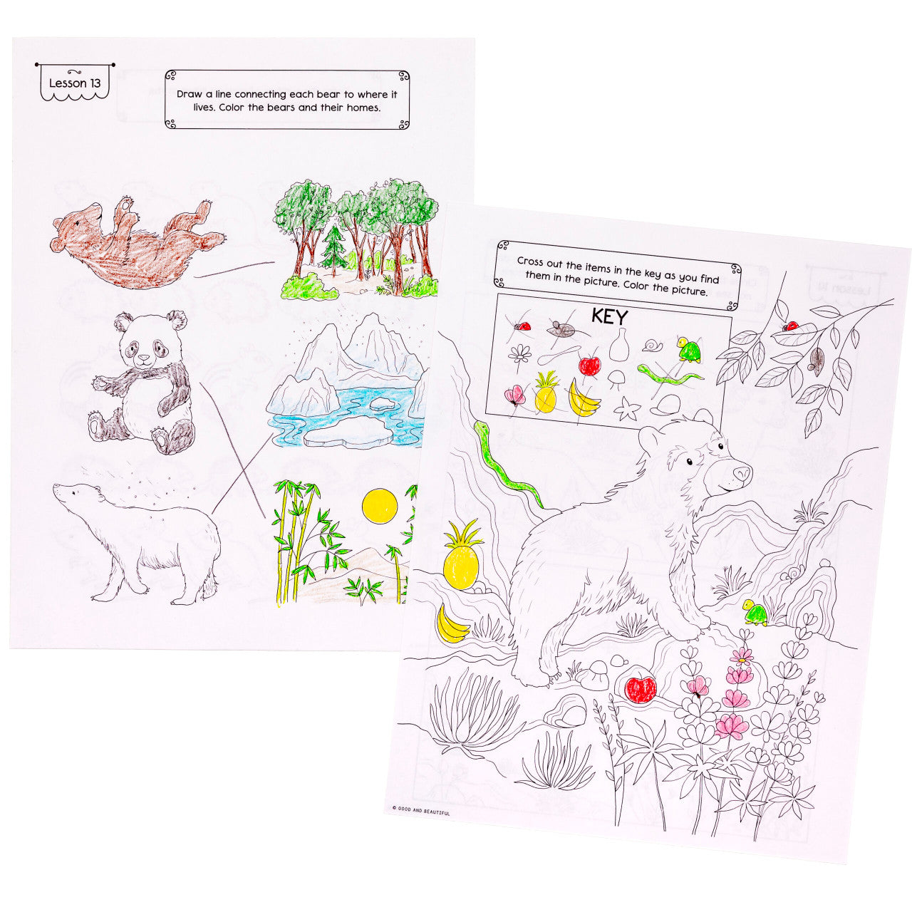 Mammals: Science Activity Book