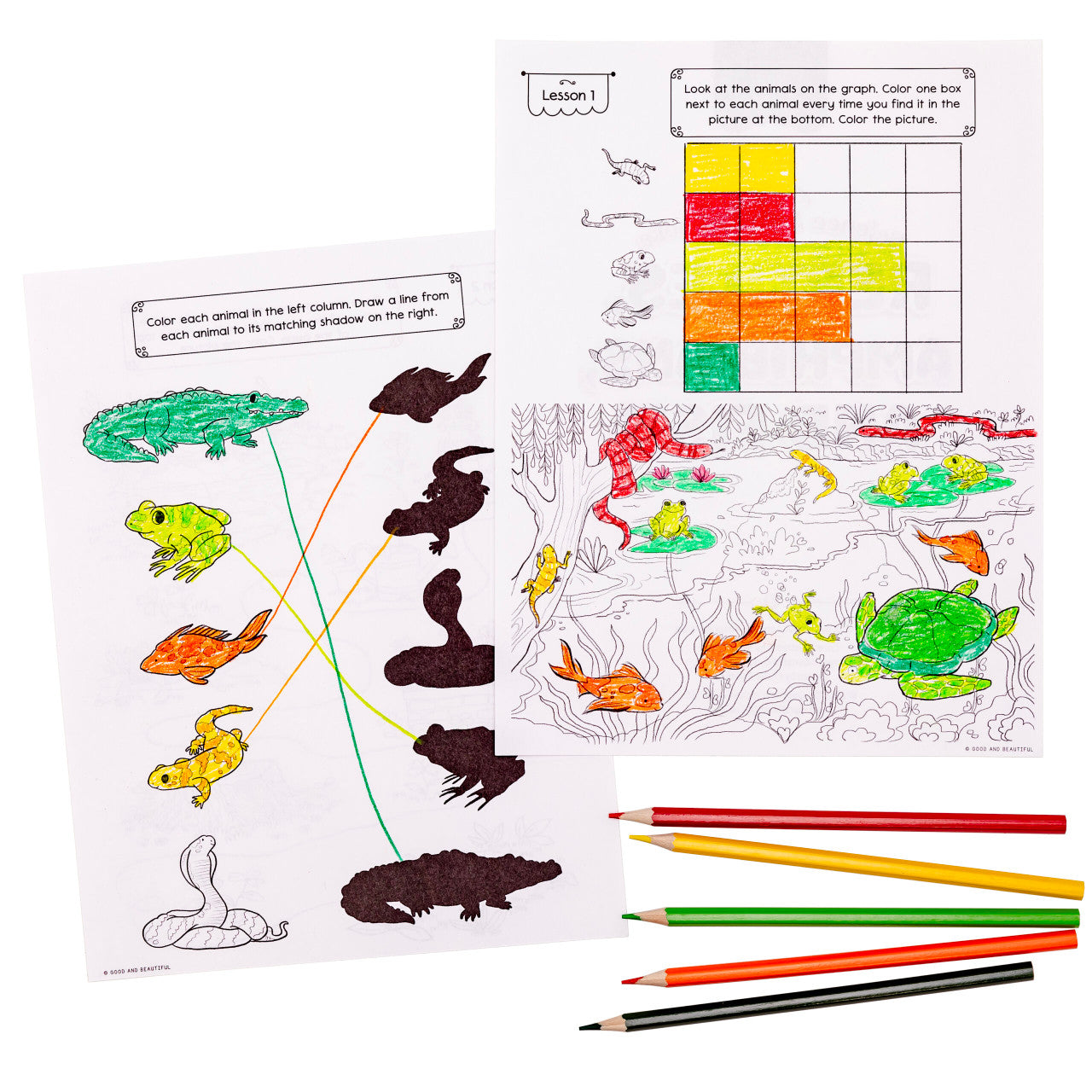 Reptiles, Amphibians, and Fish: Science Activity Book