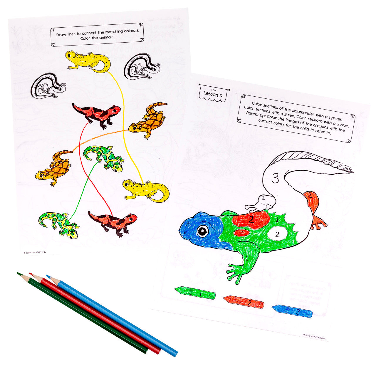 Reptiles, Amphibians, and Fish: Science Activity Book