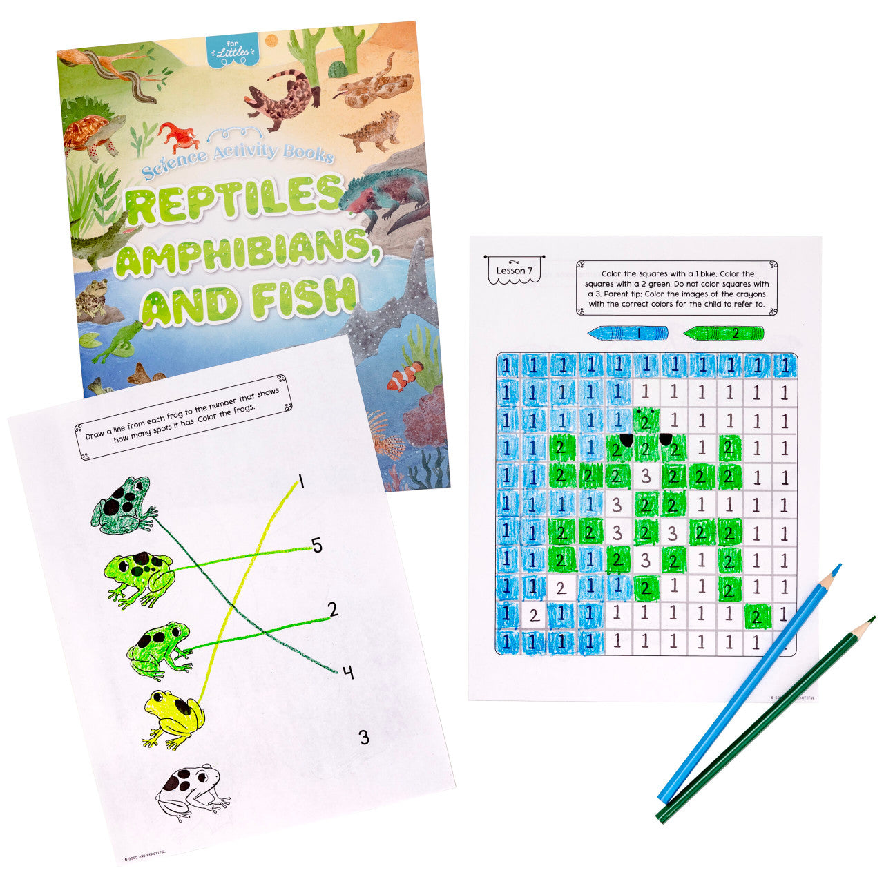 Science Activity Books