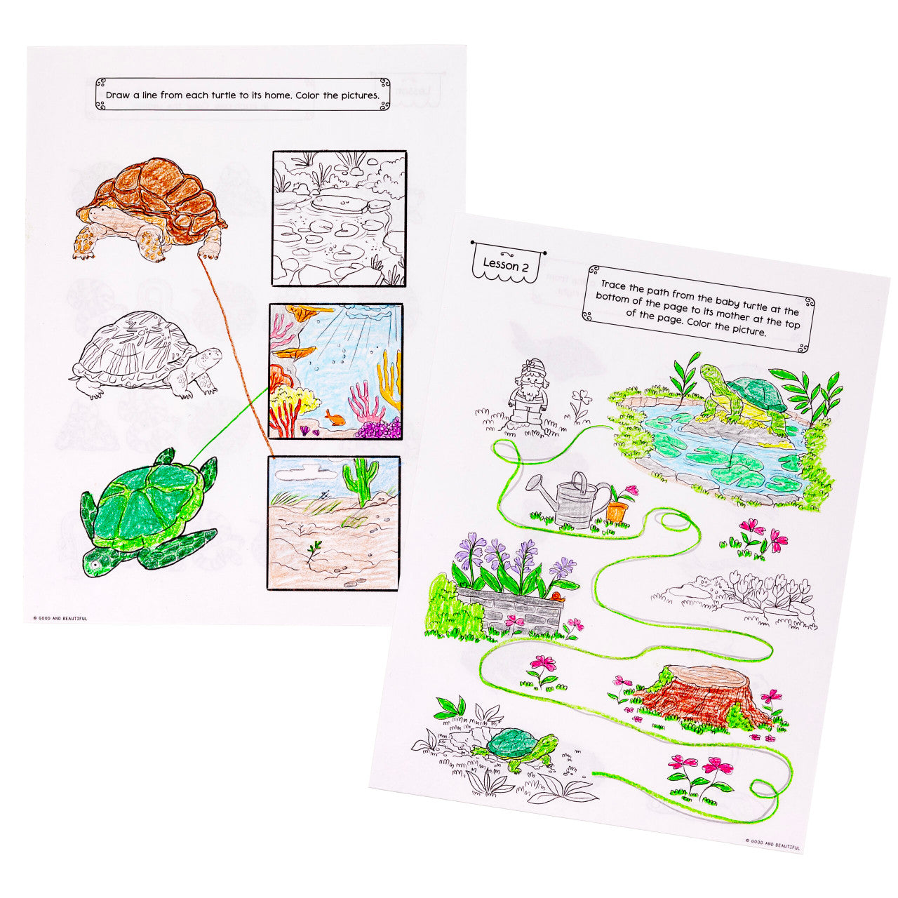 Reptiles, Amphibians, and Fish: Science Activity Book