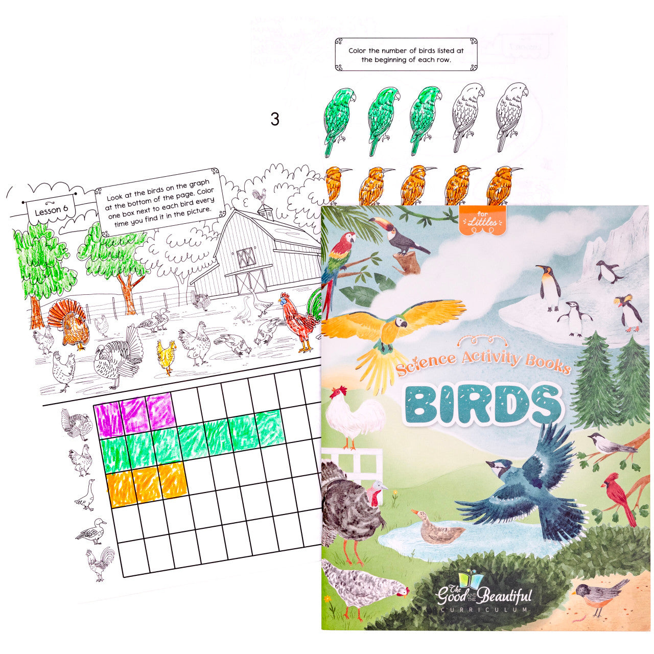 Birds: Science Activity Book