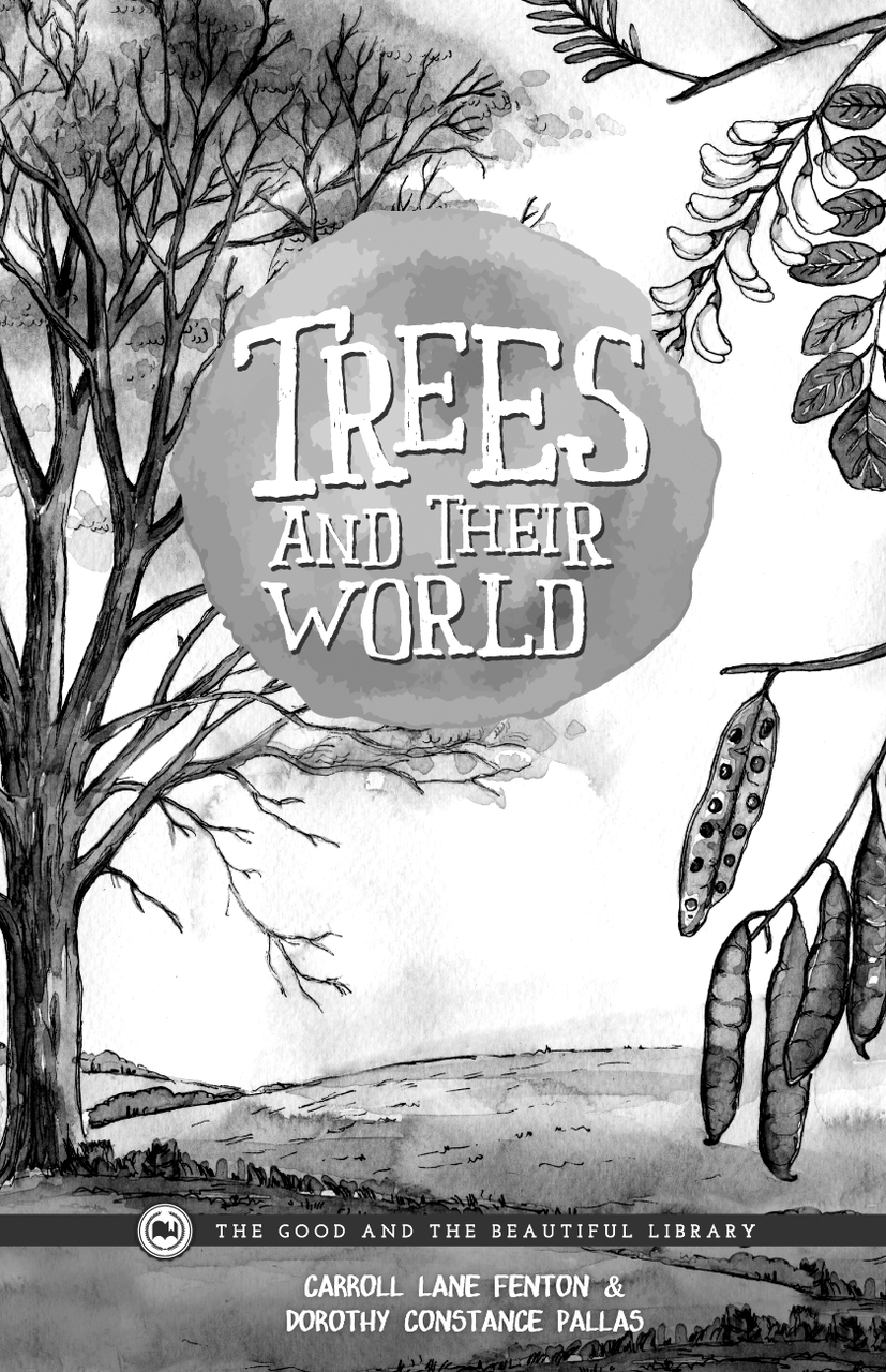 Trees and Their World: Botany Grades 7–8 Extension