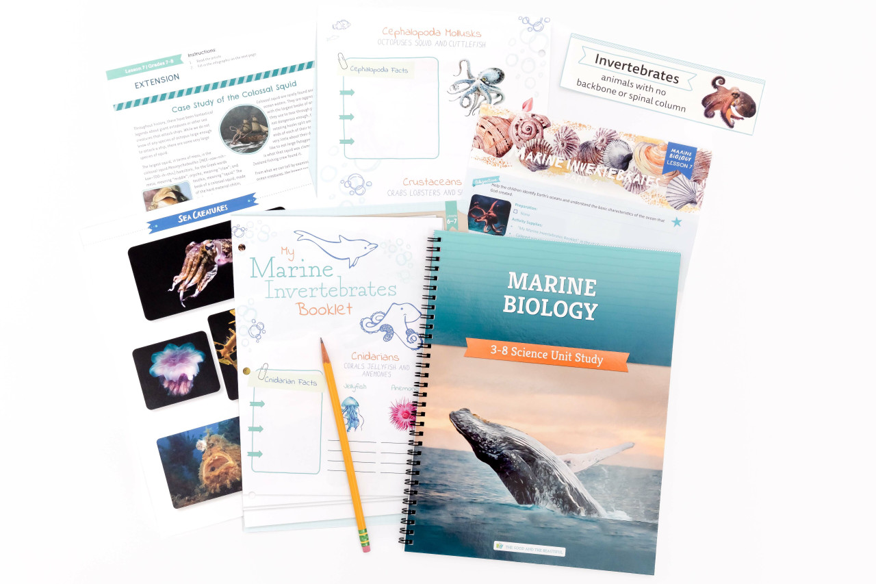 Free Marine Biology Course Download The Good and the Beautiful