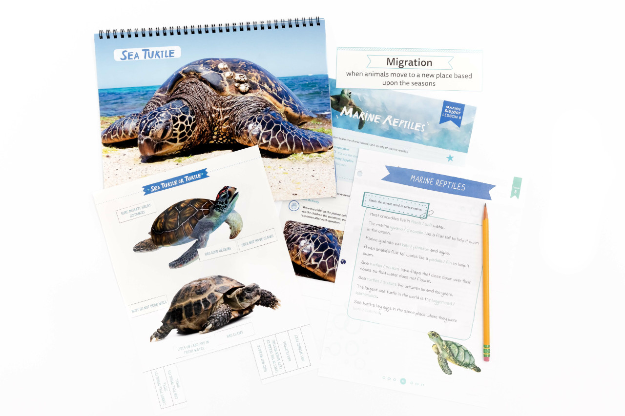 Free Marine Biology Course Download The Good and the Beautiful