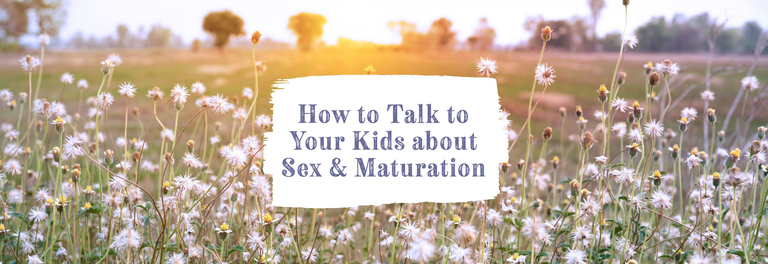 Talk to Your Kids About Sex & Maturation - The Good and the Beautiful