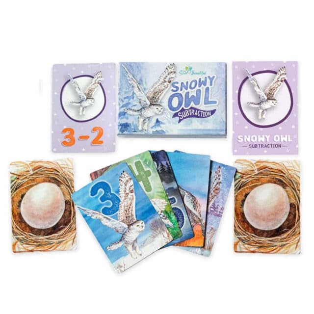 Snowy Owl Subtraction Homeschool Subtraction Cards