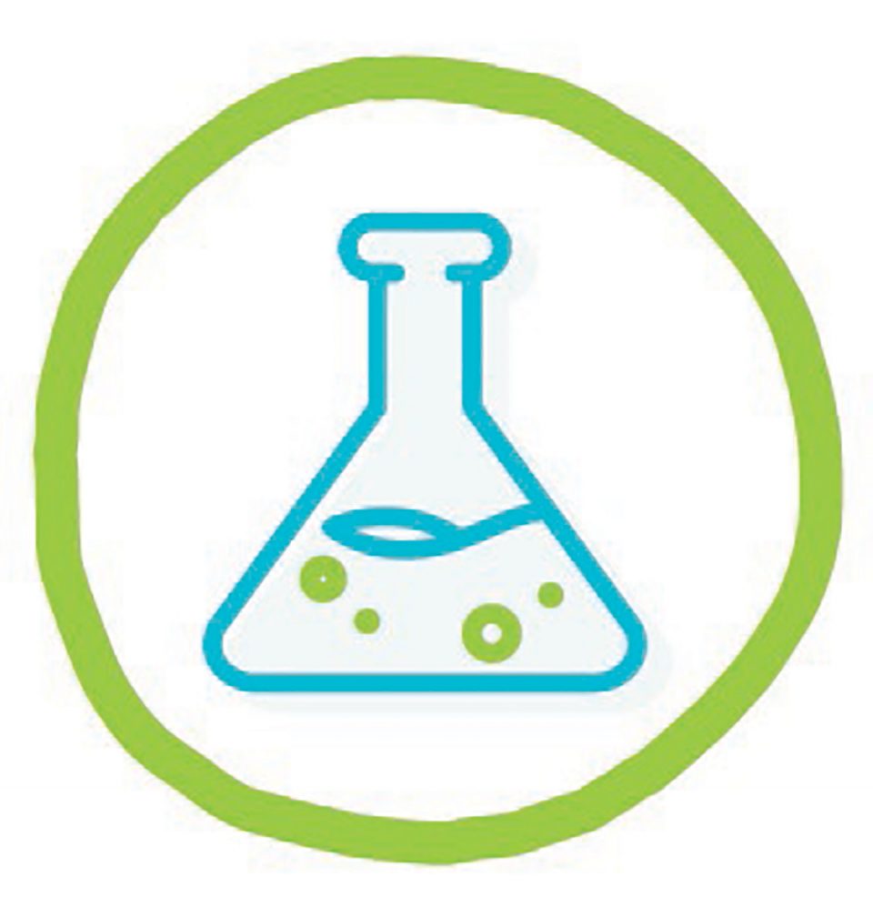 Chemistry Science Unit: Quick Start - The Good and the Beautiful