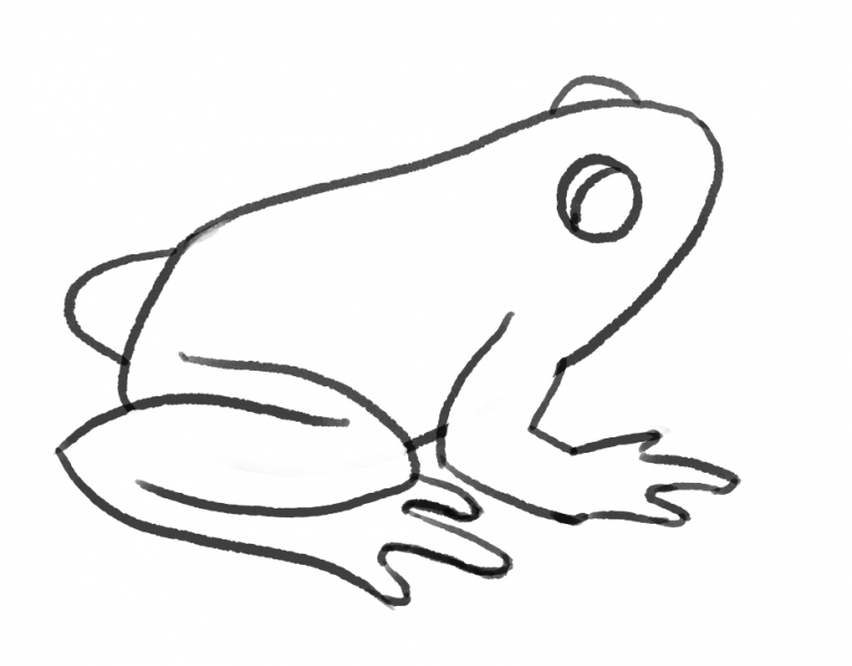 How to Draw a Frog - The Good and the Beautiful Blog