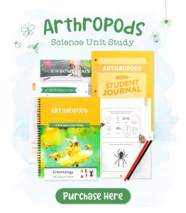 Homeschool Arthropods Science Unit Study for Grades 3 to 8