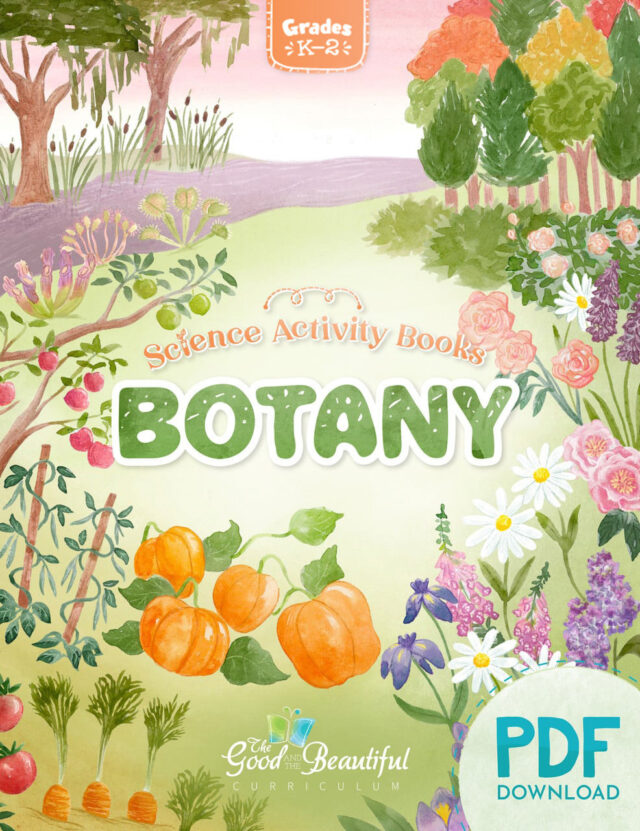 Homeschool Botany Science Activity Book for Kindergarten to Grade 2 PDF Download