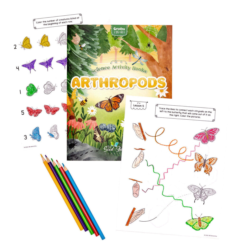 Homeschool Arthropods Science Activity Book for Kindergarten to Grade 2