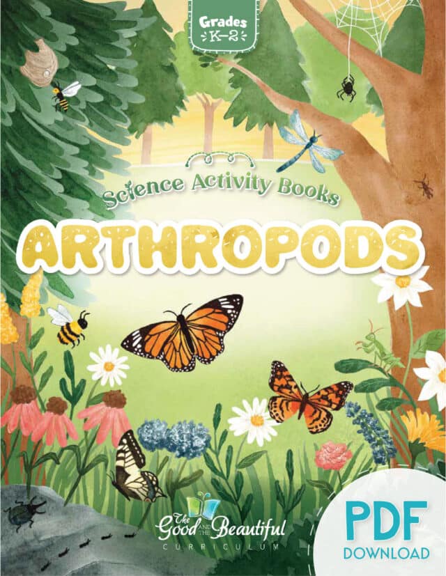 Homeschool Arthropods Science Activity Book PDF for Kindergarten to Grade 2