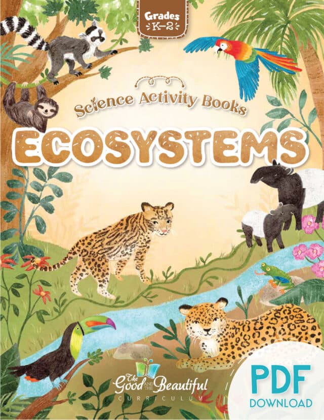 Homeschool Ecosystems Science Activity Book PDF for Kindergarten to Grade 2