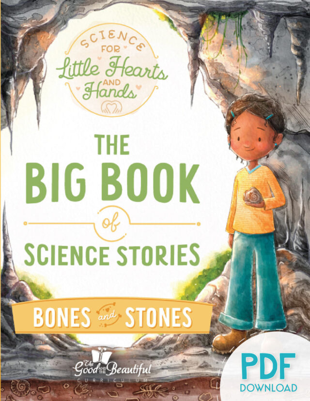 Homeschool Science Unit Bones and Stones for Little Hearts and Hands Preschool to Kindergarten PDF Download