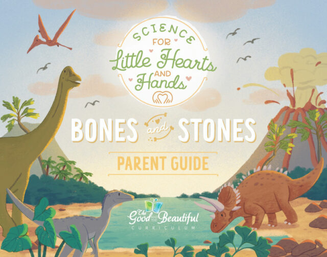 Homeschool Science Unit Bones and Stones Parent Guide for Little Hearts and Hands Preschool to Kindergarten