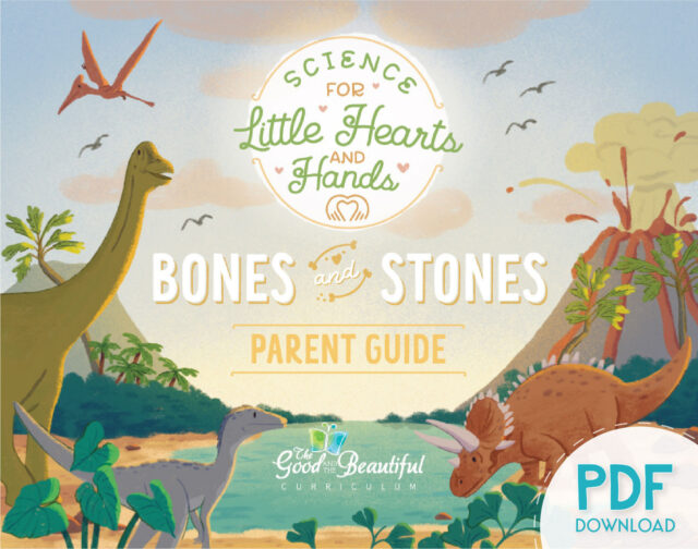 Homeschool Science Unit Bones and Stones Parent Guide for Little Hearts and Hands Preschool to Kindergarten PDF Download